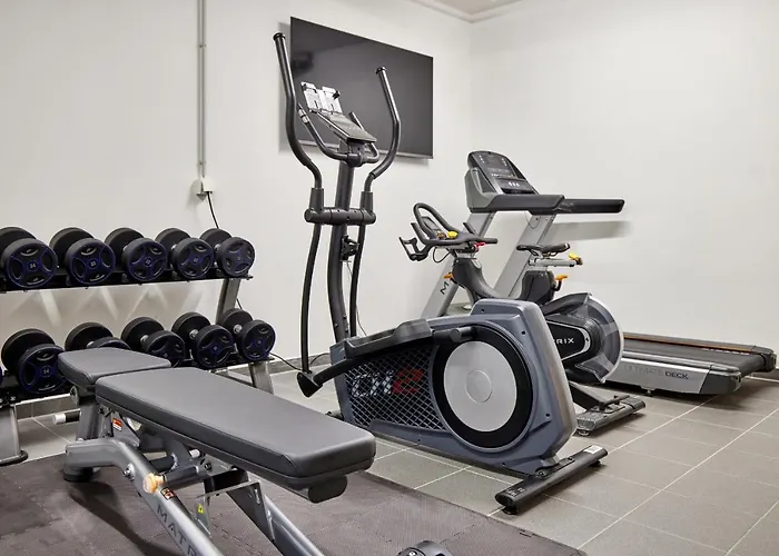 Sunshine Spirit Of Deer * Гармиш-Партенкирхен